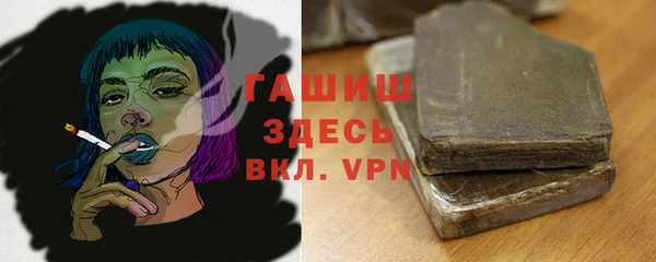 гашик Алексеевка