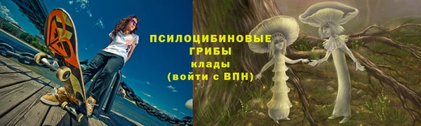 гашик Алексеевка