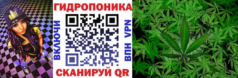 Канабис Bruce Banner Большой Камень